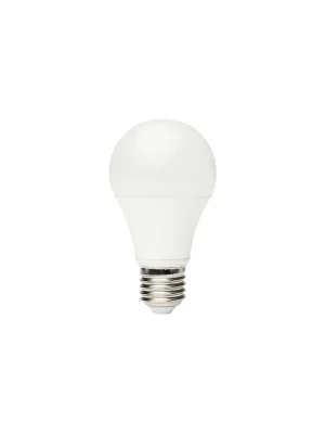 AMPOULE LED E27 A60 10W 3000 WARM WHITE